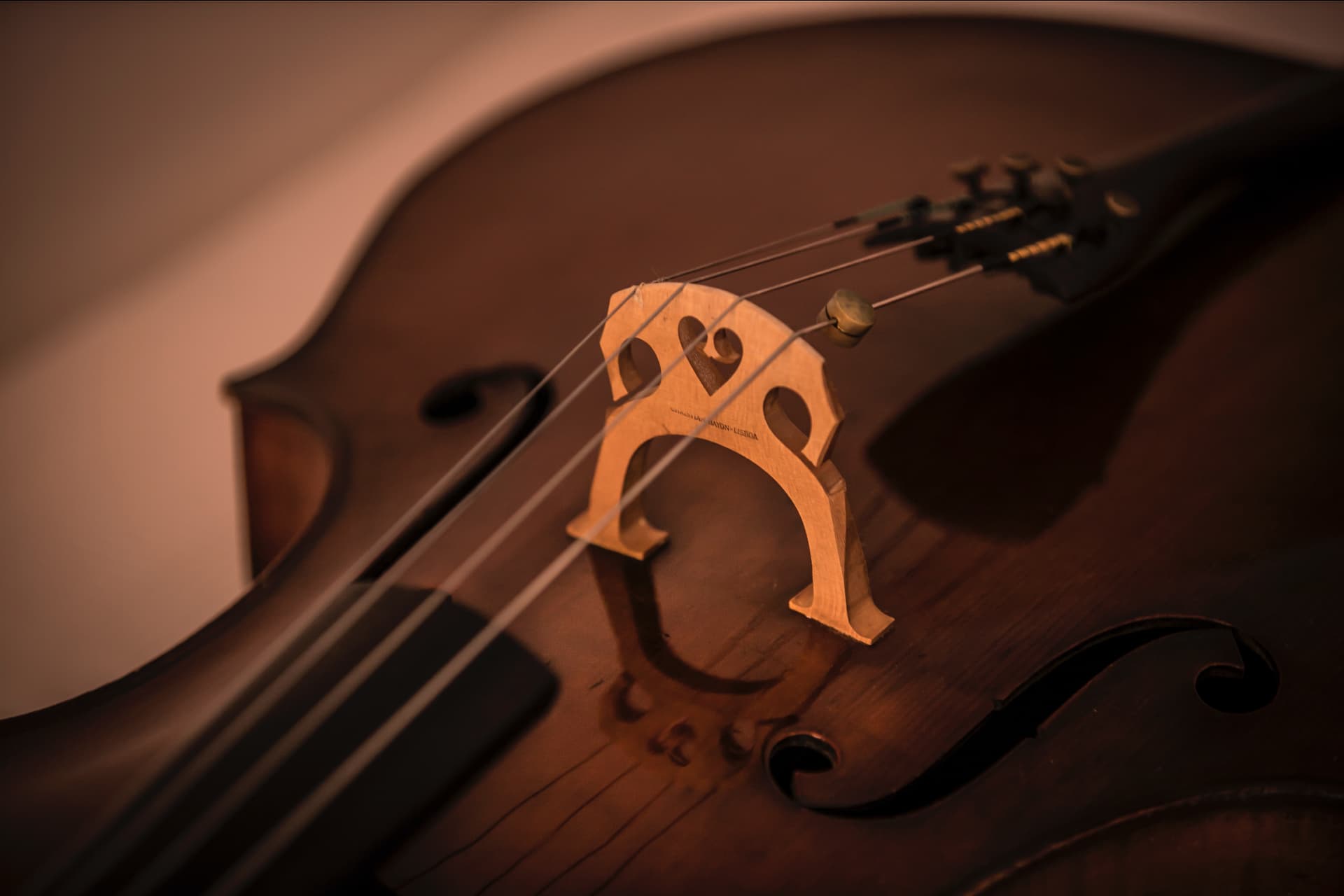 Detalle del puente y las cuerdas de un violonchelo