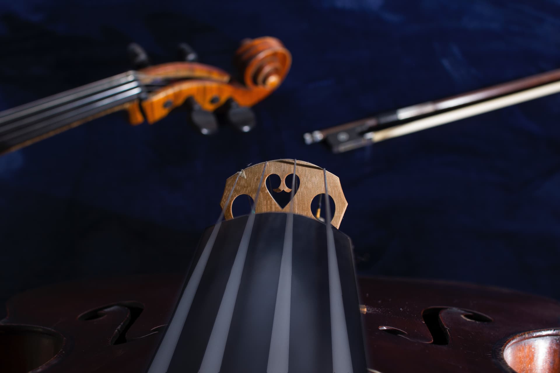 Detalle del violonchelo sobre un fondo azul oscuro